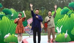 永丰血鸭爆料视频最新版,揭秘传统美食背后的秘密与传承